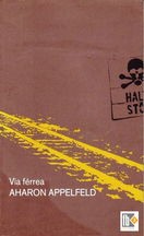 Vía férrea