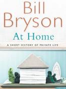 At home: a short history of the private life