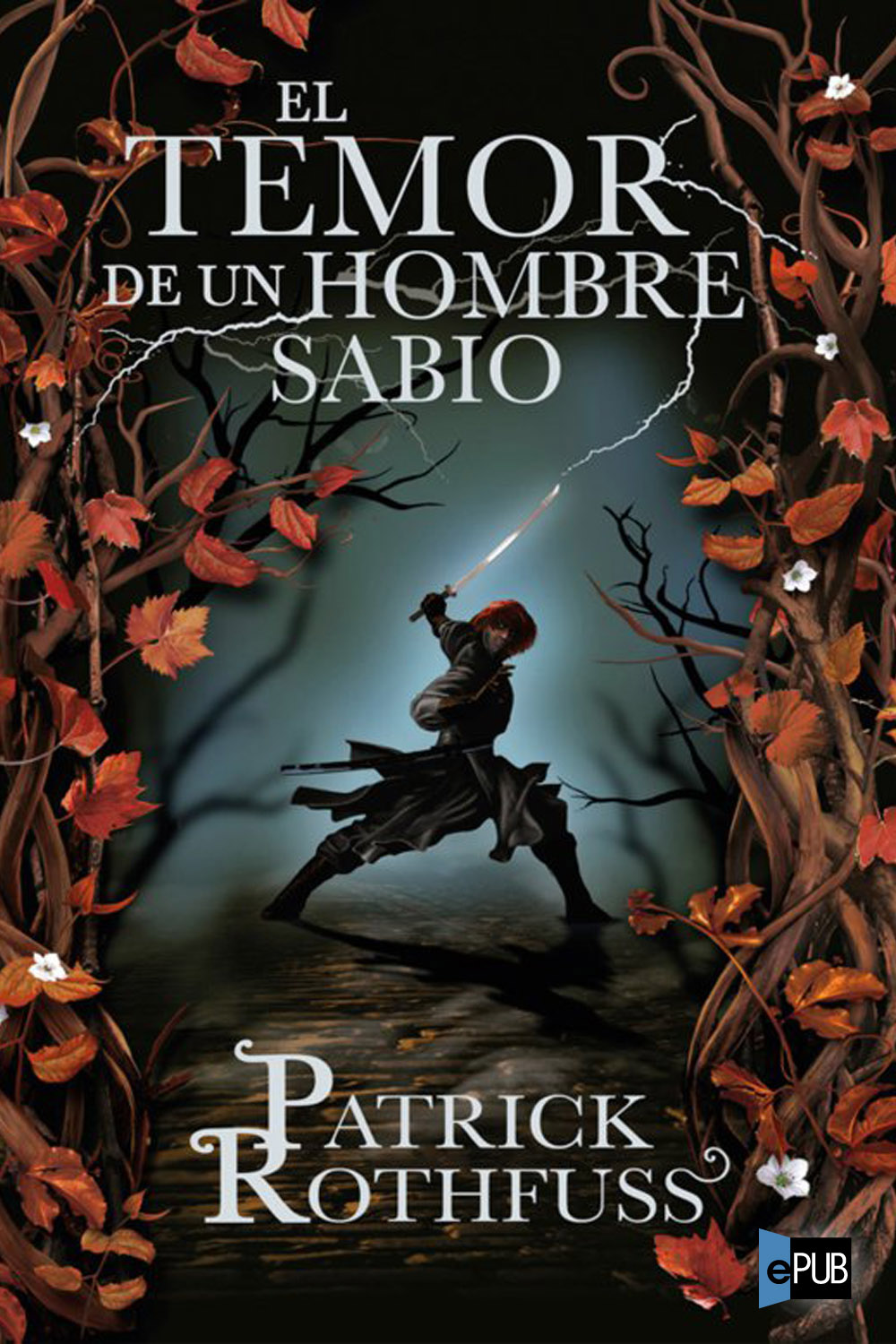 El Temor de un Hombre Sabio