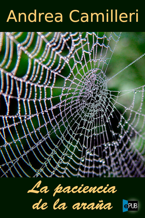 La paciencia de la araña