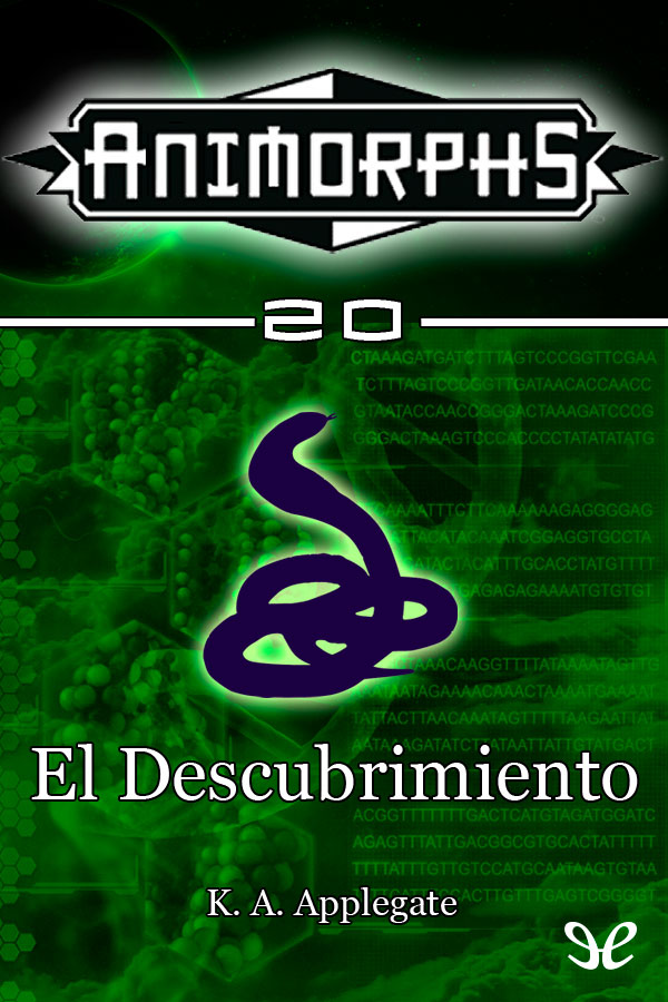 El Descubrimiento